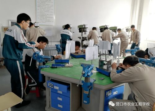 推進職業(yè)教育實用高效發(fā)展 提升服務(wù)地區(qū)發(fā)展能力