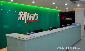新東方教育加盟代理 投資費(fèi)用與咨詢(xún)指南